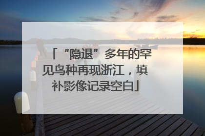 “隐退”多年的罕见鸟种再现浙江，填补影像记录空白