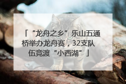 “龙舟之乡”乐山五通桥举办龙舟赛，32支队伍竞渡“小西湖”