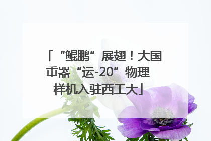 “鲲鹏”展翅！大国重器“运-20”物理样机入驻西工大