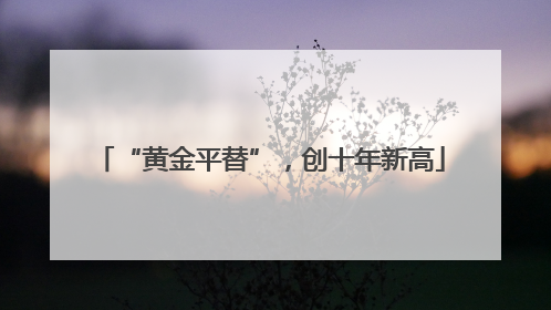 “黄金平替”，创十年新高