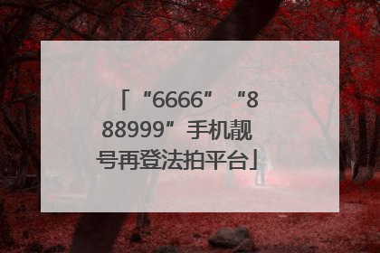 “6666”“888999”手机靓号再登法拍平台