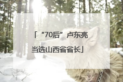 “70后”卢东亮当选山西省省长