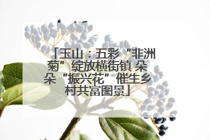 玉山：五彩“非洲菊”绽放横街镇 朵朵“振兴花”催生乡村共富图景