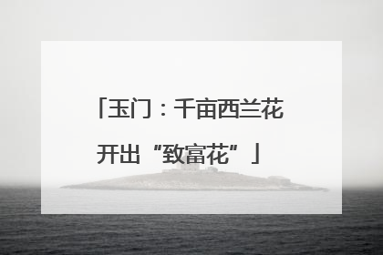 玉门：千亩西兰花开出“致富花”