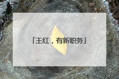 王红，有新职务