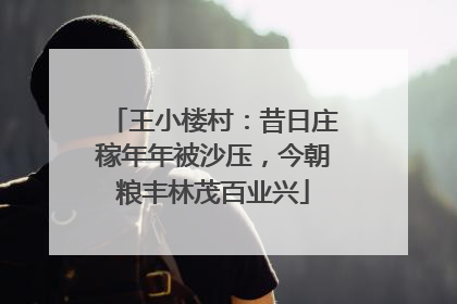 王小楼村：昔日庄稼年年被沙压，今朝粮丰林茂百业兴