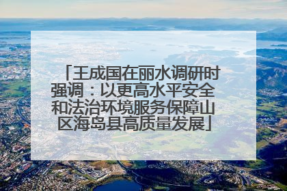 王成国在丽水调研时强调：以更高水平安全和法治环境服务保障山区海岛县高质量发展