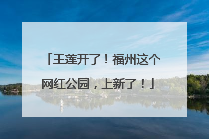 王莲开了！福州这个网红公园，上新了！