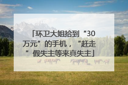 环卫大姐拾到“30万元”的手机，“赶走”假失主等来真失主