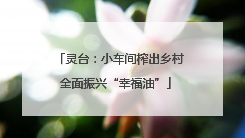 灵台：小车间榨出乡村全面振兴“幸福油”