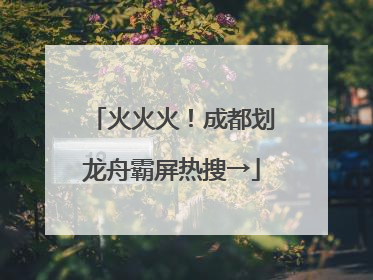 火火火！成都划龙舟霸屏热搜→