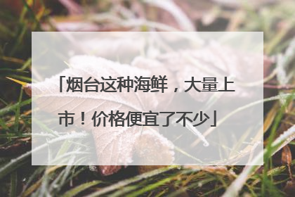 烟台这种海鲜，大量上市！价格便宜了不少