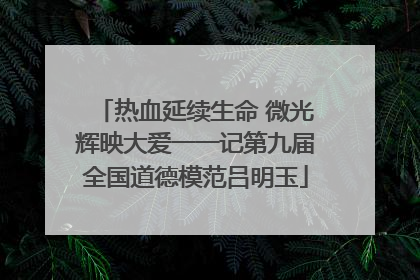 热血延续生命 微光辉映大爱一一记第九届全国道德模范吕明玉