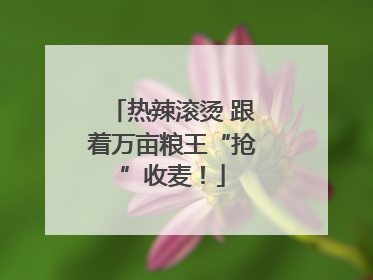 热辣滚烫 跟着万亩粮王“抢”收麦！