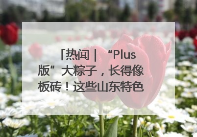 热闻｜“Plus版”大粽子，长得像板砖！这些山东特色粽子你吃过吗？