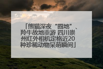熊猫深夜“圈地”、羚牛故地重游 四川崇州红外相机定格近20种珍稀动物呆萌瞬间