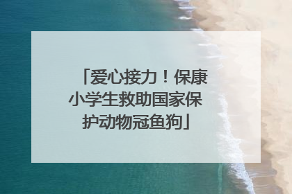 爱心接力！保康小学生救助国家保护动物冠鱼狗