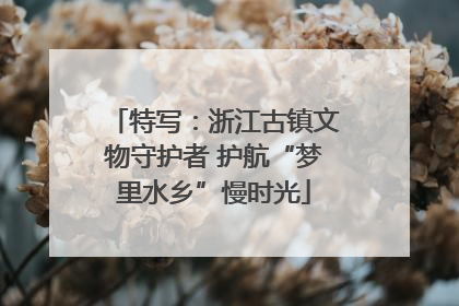 特写：浙江古镇文物守护者 护航“梦里水乡”慢时光