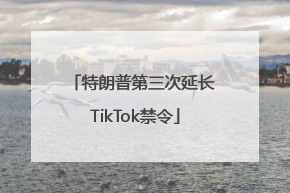 特朗普第三次延长TikTok禁令