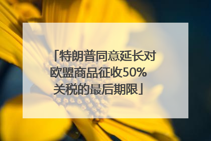 特朗普同意延长对欧盟商品征收50%关税的最后期限