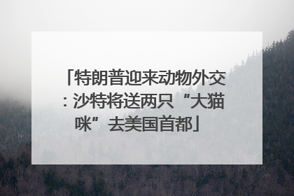 特朗普迎来动物外交：沙特将送两只“大猫咪”去美国首都