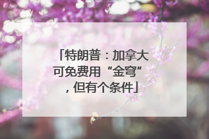 特朗普：加拿大可免费用“金穹”，但有个条件