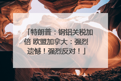 特朗普：钢铝关税加倍 欧盟加拿大：强烈遗憾！强烈反对！