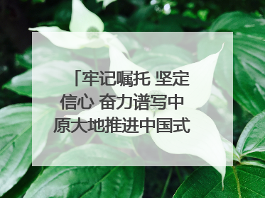 牢记嘱托 坚定信心 奋力谱写中原大地推进中国式现代化新篇章（六）河南绘就“行走河南·读懂中国”新画卷丨牢记嘱托谱新篇