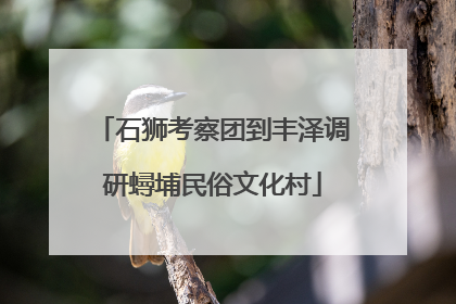 石狮考察团到丰泽调研蟳埔民俗文化村
