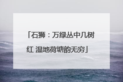 石狮：万绿丛中几树红 湿地荷塘韵无穷