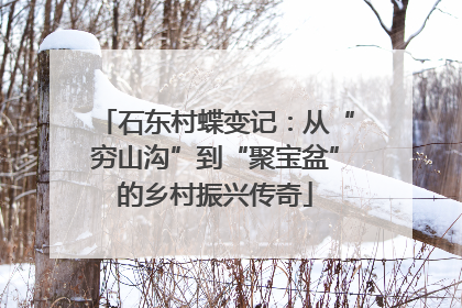 石东村蝶变记：从“穷山沟”到“聚宝盆”的乡村振兴传奇