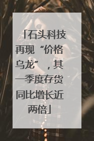 石头科技再现“价格乌龙”，其一季度存货同比增长近两倍