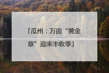 瓜州：万亩“黄金草”迎来丰收季