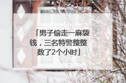 男子偷走一麻袋钱，三名特警整整数了2个小时