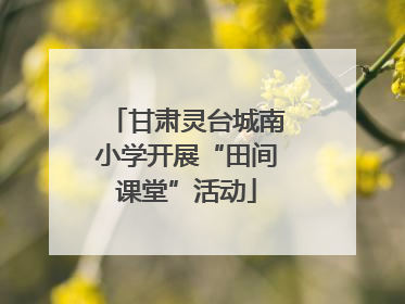 甘肃灵台城南小学开展“田间课堂”活动