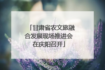 甘肃省农文旅融合发展现场推进会在庆阳召开