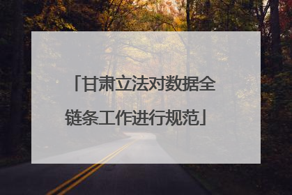 甘肃立法对数据全链条工作进行规范