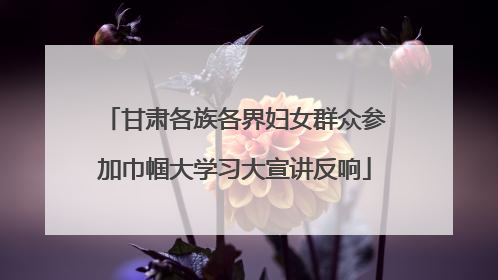 甘肃各族各界妇女群众参加巾帼大学习大宣讲反响