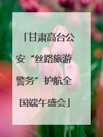 甘肃高台公安“丝路旅游警务”护航全国端午盛会