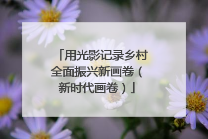 用光影记录乡村全面振兴新画卷（新时代画卷）