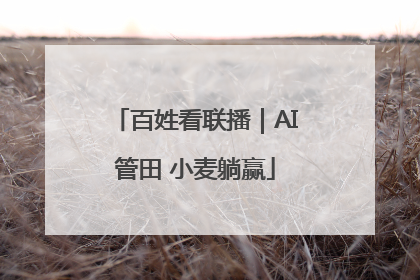 百姓看联播｜AI管田 小麦躺赢