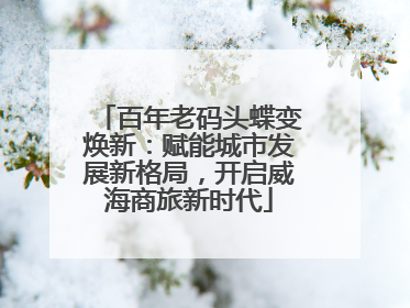 百年老码头蝶变焕新：赋能城市发展新格局，开启威海商旅新时代