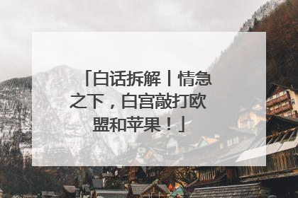白话拆解丨情急之下，白宫敲打欧盟和苹果！