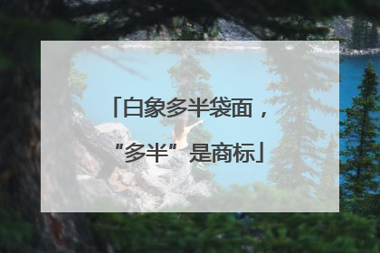 白象多半袋面，“多半”是商标