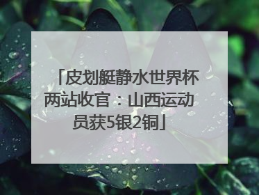 皮划艇静水世界杯两站收官：山西运动员获5银2铜