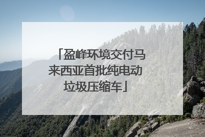 盈峰环境交付马来西亚首批纯电动垃圾压缩车