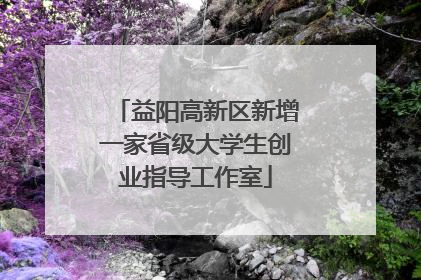 益阳高新区新增一家省级大学生创业指导工作室