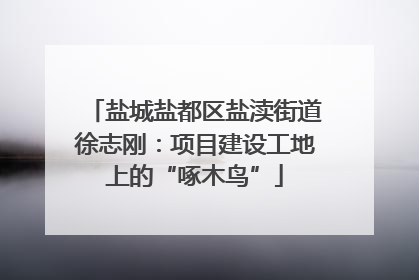 盐城盐都区盐渎街道徐志刚：项目建设工地上的“啄木鸟”