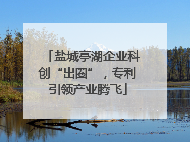 盐城亭湖企业科创“出圈”，专利引领产业腾飞