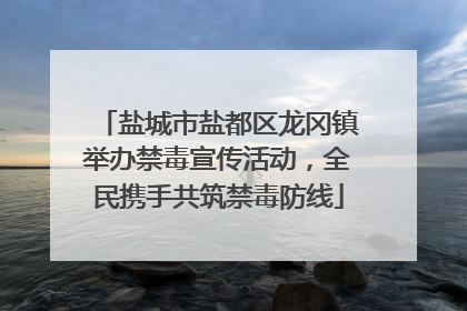 盐城市盐都区龙冈镇举办禁毒宣传活动，全民携手共筑禁毒防线